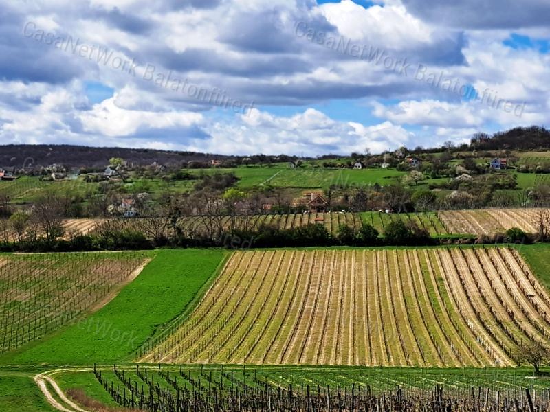 ÉPÍTHETŐ, PANORÁMÁS- eladó MEZŐGAZDASÁGI TERÜLET SZENTJAKABFÁN