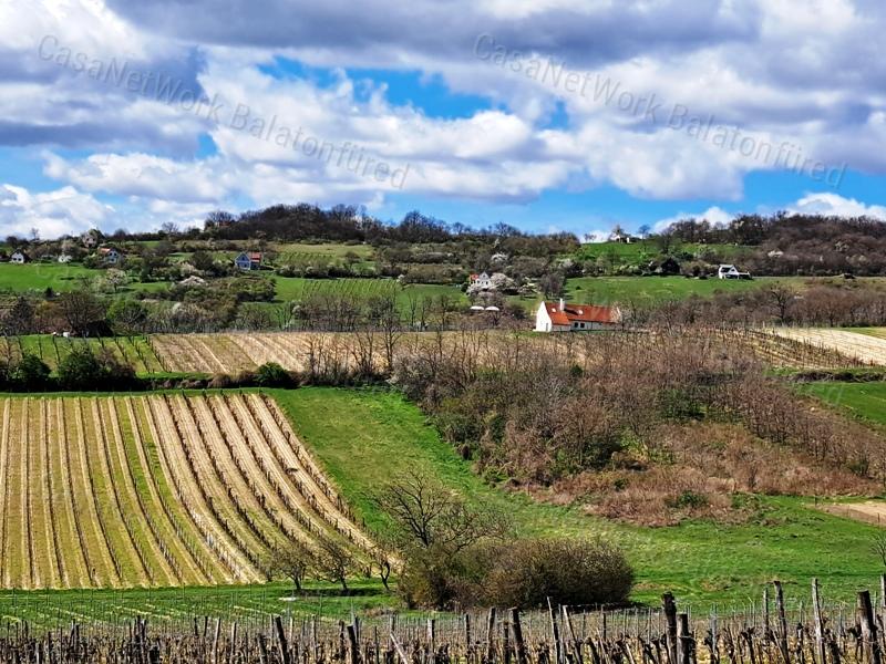 ÉPÍTHETŐ, PANORÁMÁS- eladó MEZŐGAZDASÁGI TERÜLET SZENTJAKABFÁN