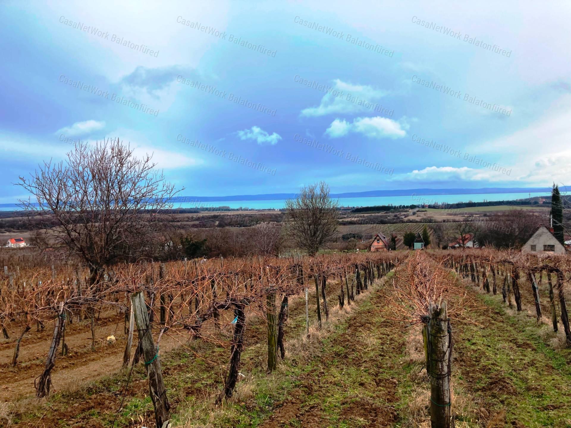 Panorámás -eladó GAZDASÁGI ÉPÜLET és MEZŐGAZDASÁGI TERÜLET TAGYONBAN