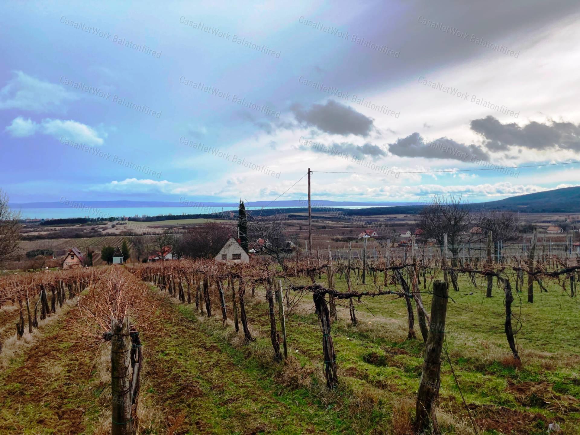 Panorámás -eladó GAZDASÁGI ÉPÜLET és MEZŐGAZDASÁGI TERÜLET TAGYONBAN