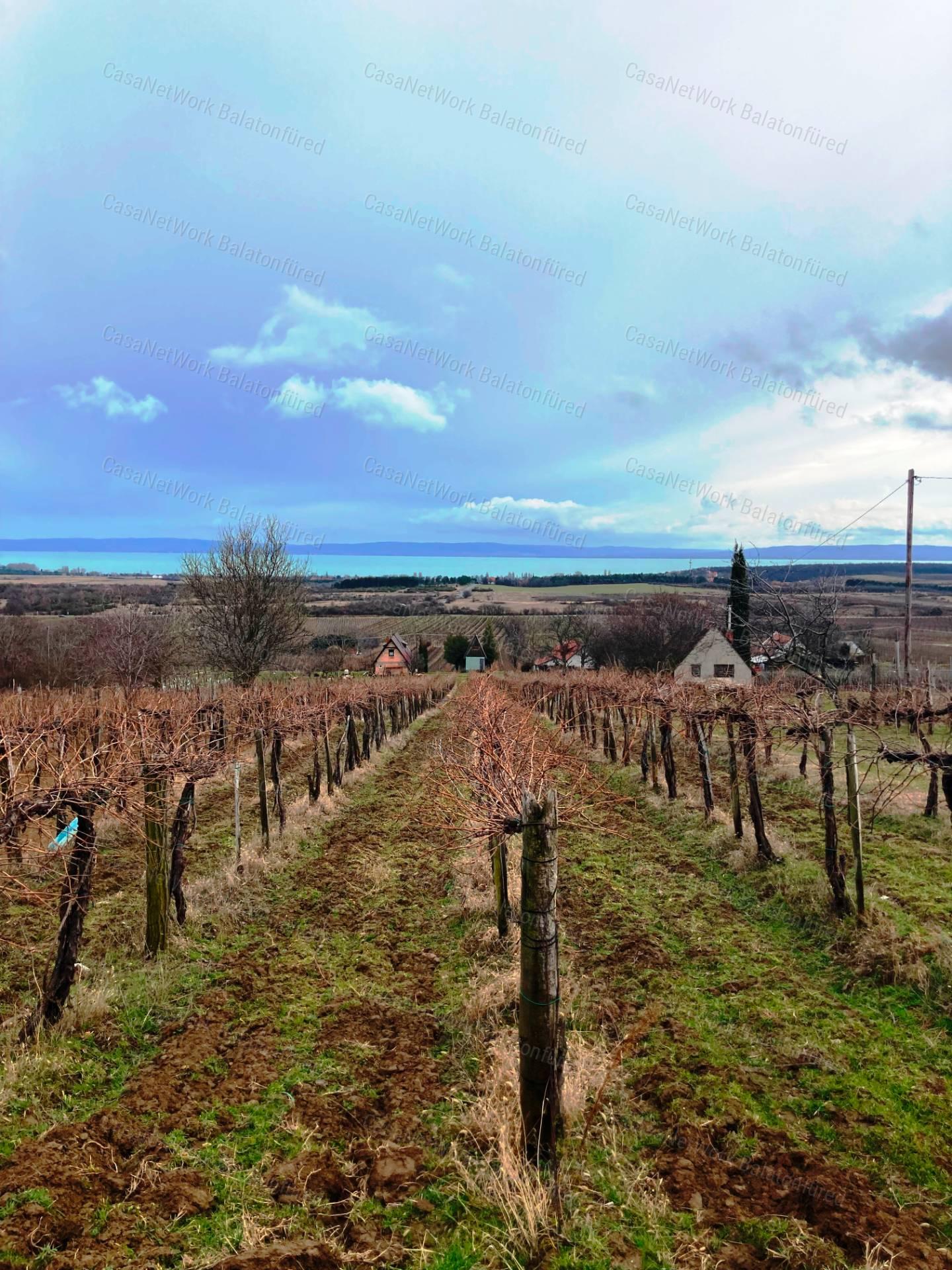 Panorámás -eladó GAZDASÁGI ÉPÜLET és MEZŐGAZDASÁGI TERÜLET TAGYONBAN