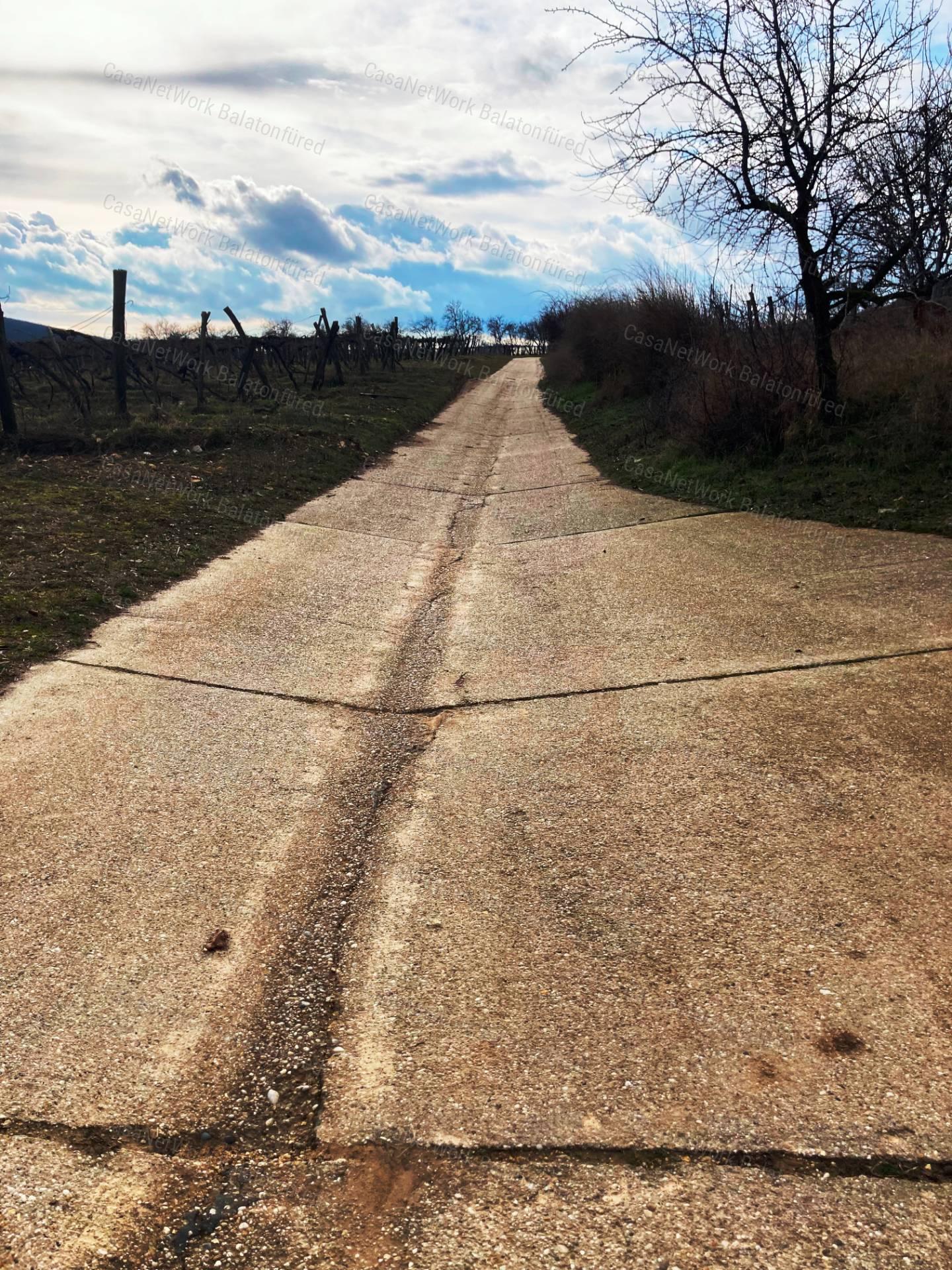 Panorámás -eladó GAZDASÁGI ÉPÜLET és MEZŐGAZDASÁGI TERÜLET TAGYONBAN
