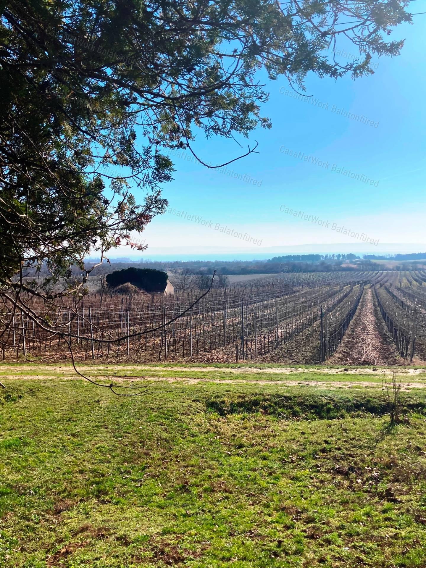 Panorámás -eladó GAZDASÁGI ÉPÜLET és MEZŐGAZDASÁGI TERÜLET TAGYONBAN