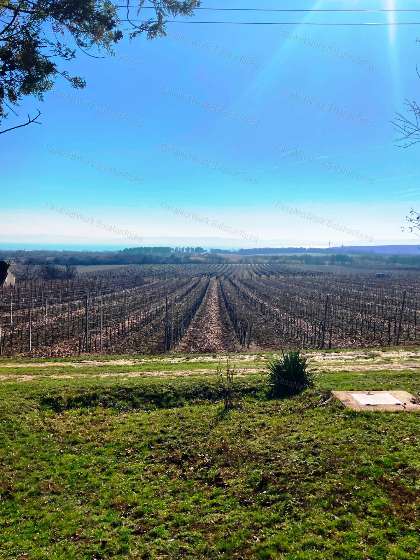 Panorámás -eladó GAZDASÁGI ÉPÜLET és MEZŐGAZDASÁGI TERÜLET TAGYONBAN