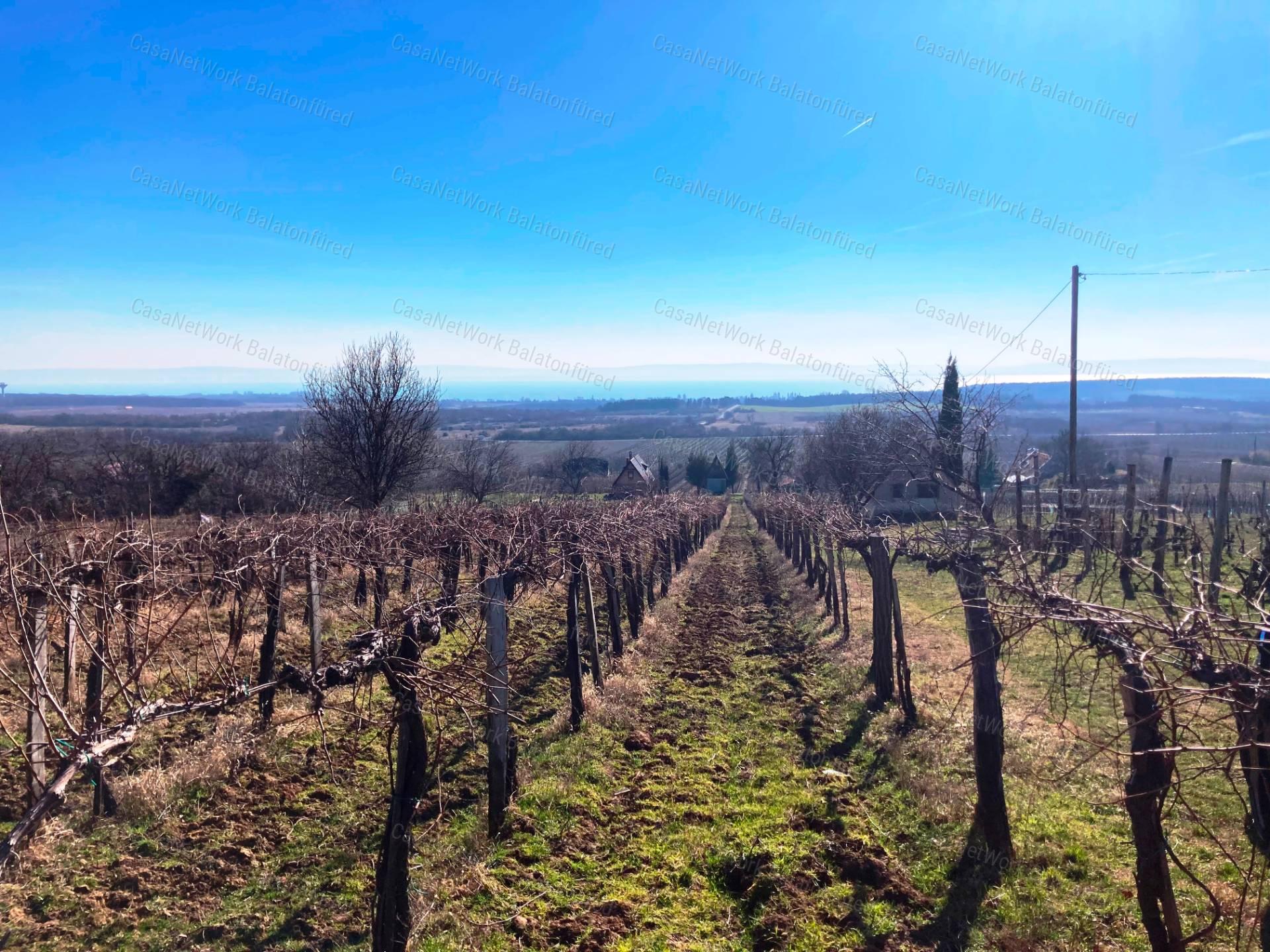 Panorámás -eladó GAZDASÁGI ÉPÜLET és MEZŐGAZDASÁGI TERÜLET TAGYONBAN