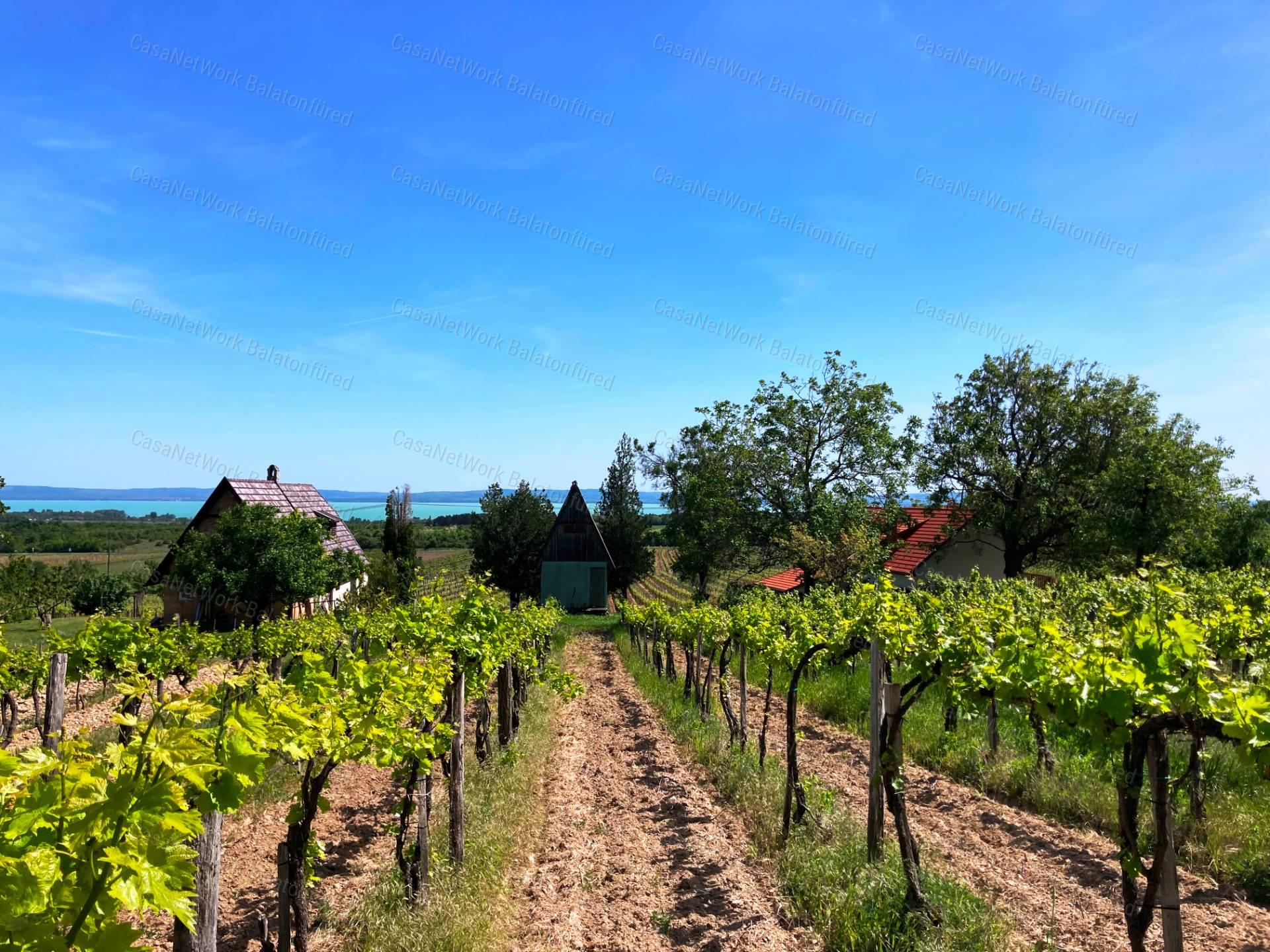 Panorámás -eladó GAZDASÁGI ÉPÜLET és MEZŐGAZDASÁGI TERÜLET TAGYONBAN