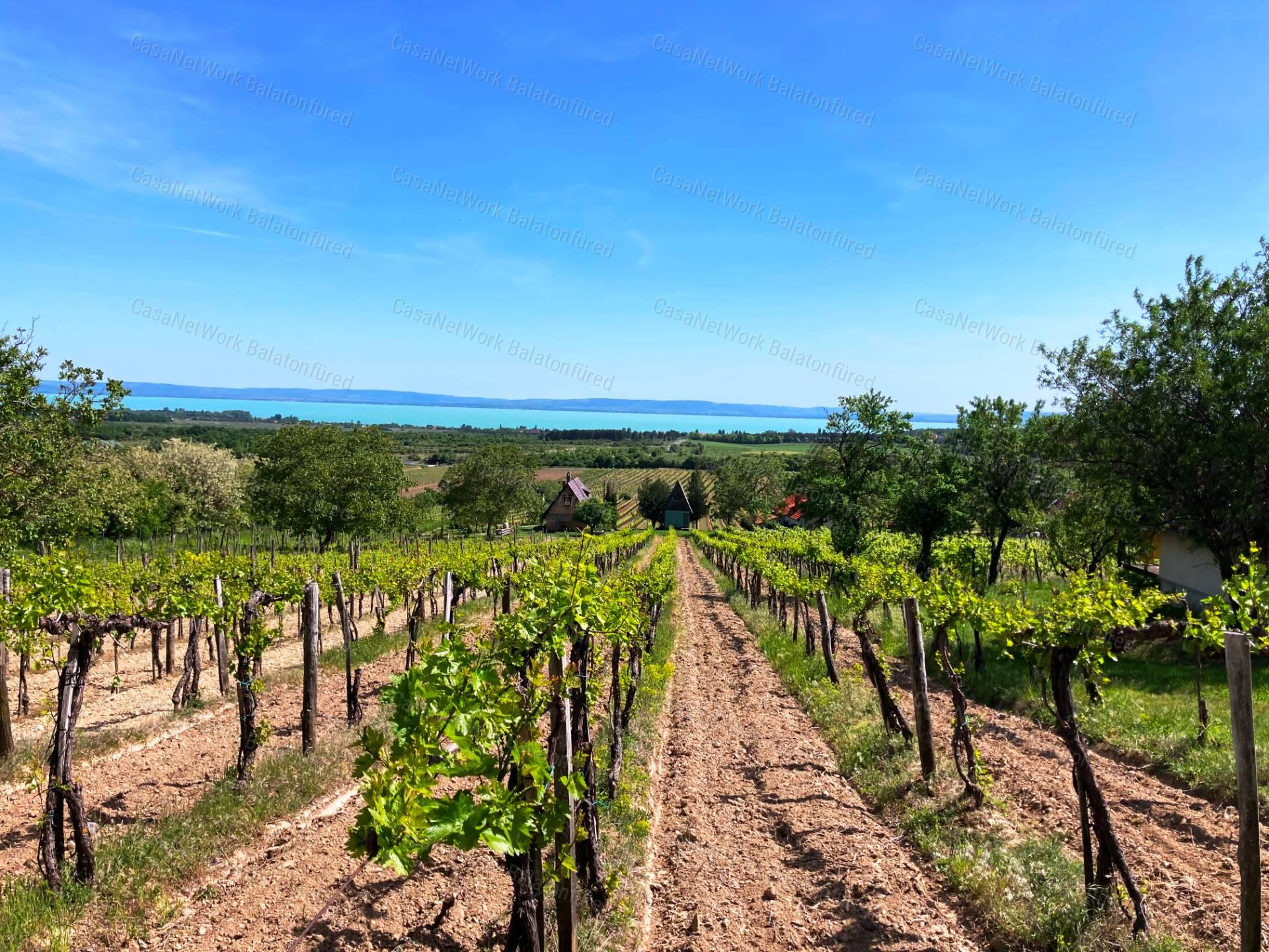 Panorámás -eladó GAZDASÁGI ÉPÜLET és MEZŐGAZDASÁGI TERÜLET TAGYONBAN
