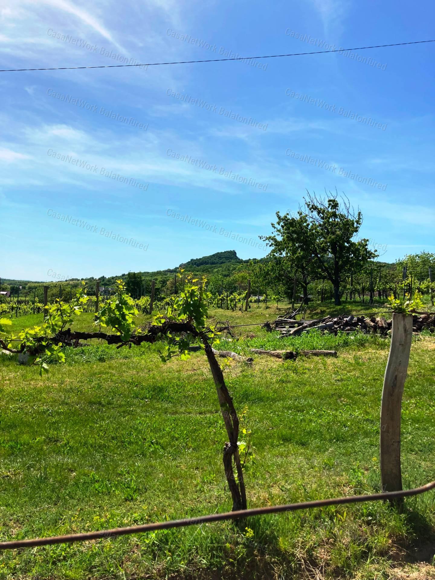 Panorámás -eladó GAZDASÁGI ÉPÜLET és MEZŐGAZDASÁGI TERÜLET TAGYONBAN