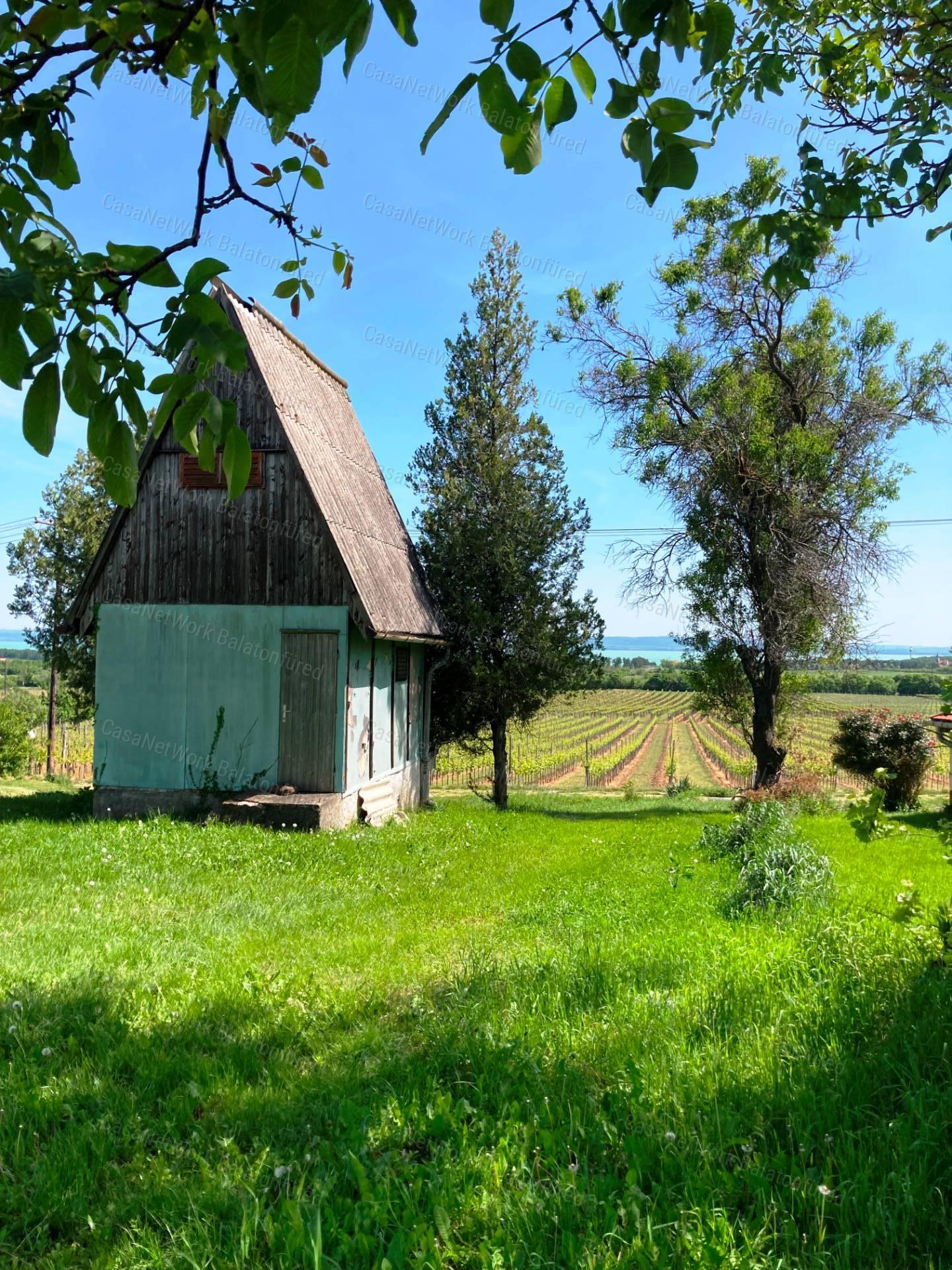 Panorámás -eladó GAZDASÁGI ÉPÜLET és MEZŐGAZDASÁGI TERÜLET TAGYONBAN
