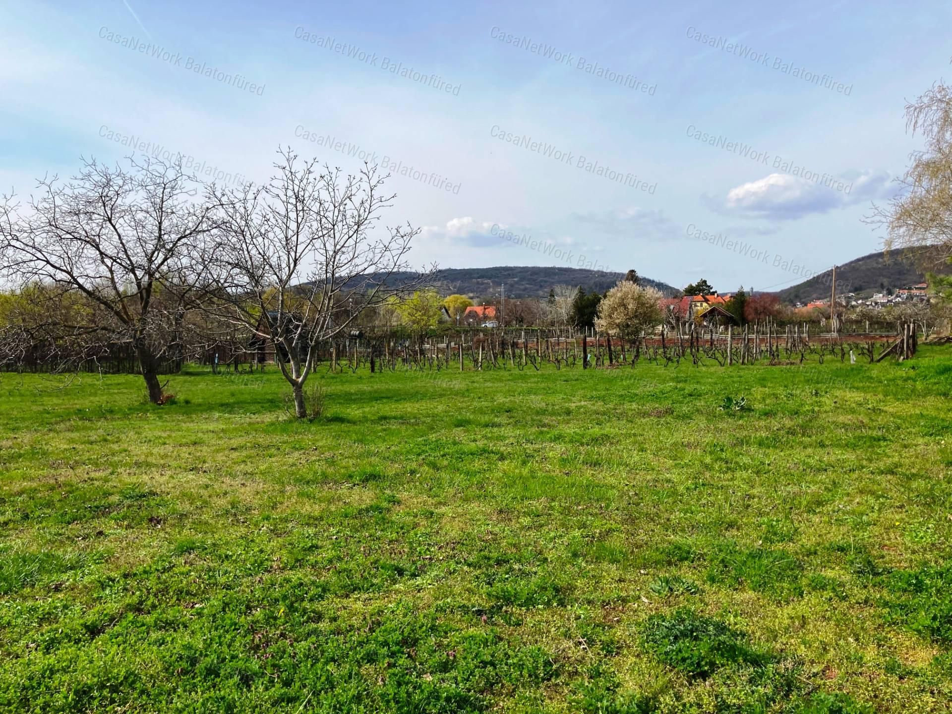 Balatonfüred zártkert 3.160 m2