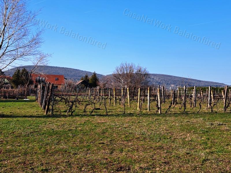 Balatonfüred zártkert 3.160 m2