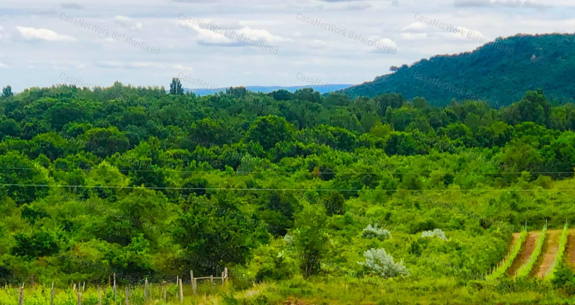 Balatonfüreden mezőgazdasági terület ELADÓ