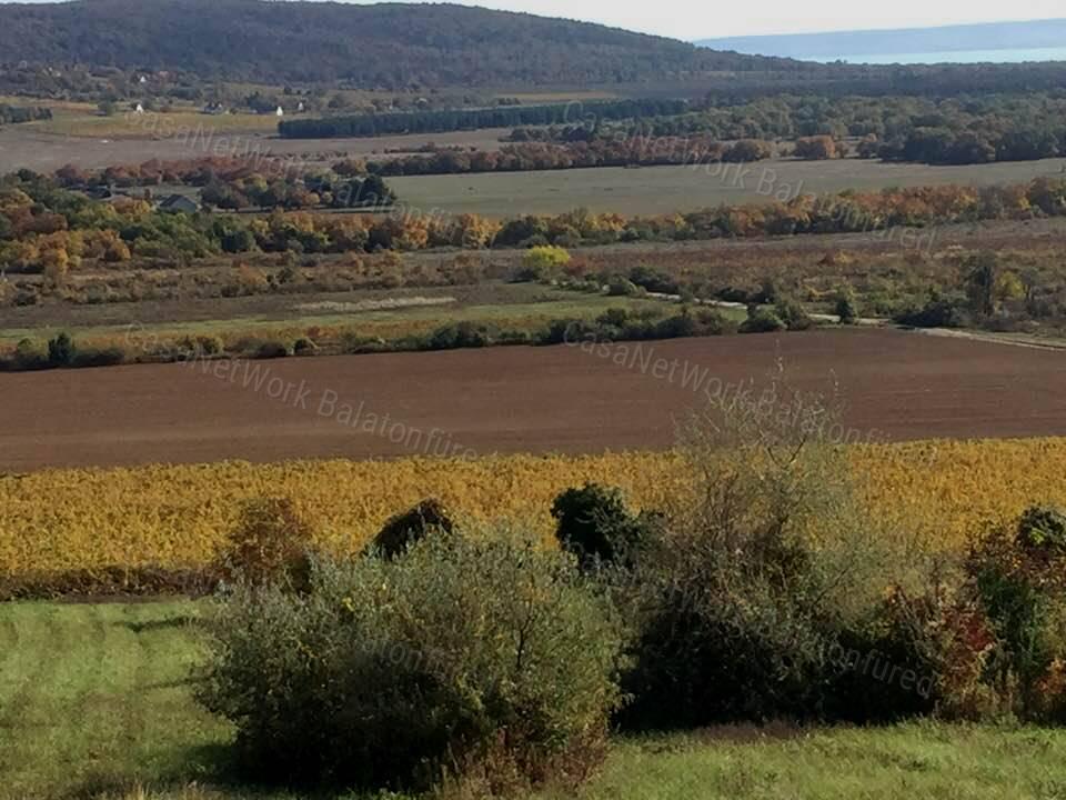 Dörgicse gyöngyszeme meseszép panorámával