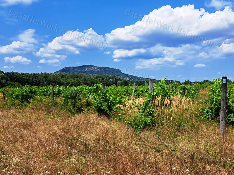 Kedvező lokációban - eladó SZŐLŐ terület NEMESGULÁCSON