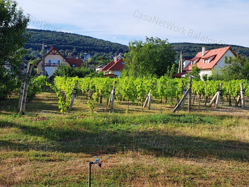 Belterület mellett-eladó ZÁRTKERT CSOPAKON