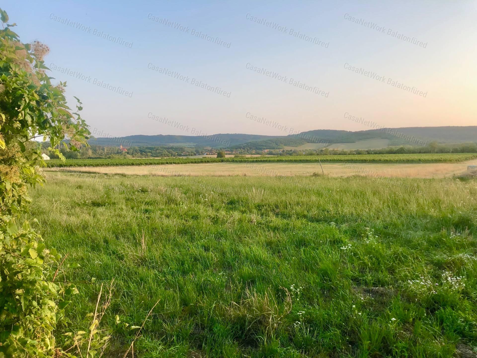 Csak a Fantáziád szab határt