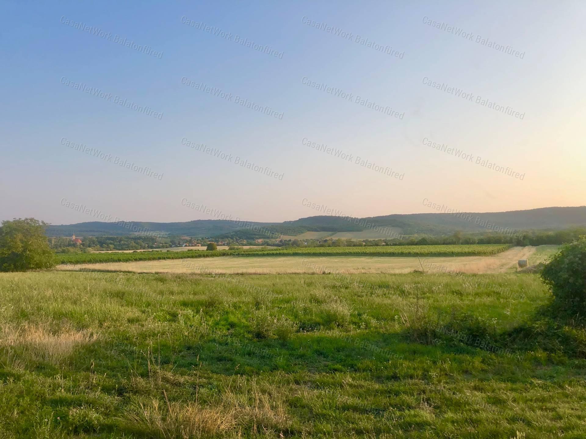 Csak a Fantáziád szab határt