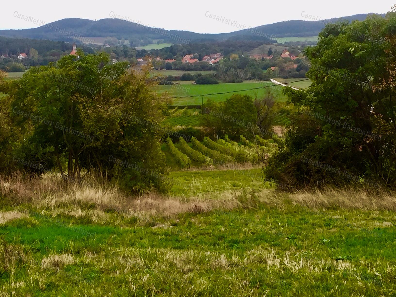 Elvehetetlen kilátás nyílik a Pécselyi-medencére és a Balatonra