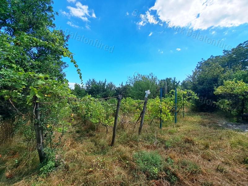Erdő közelében - eladó ZÁRTKERT BALATONALMÁDIBAN