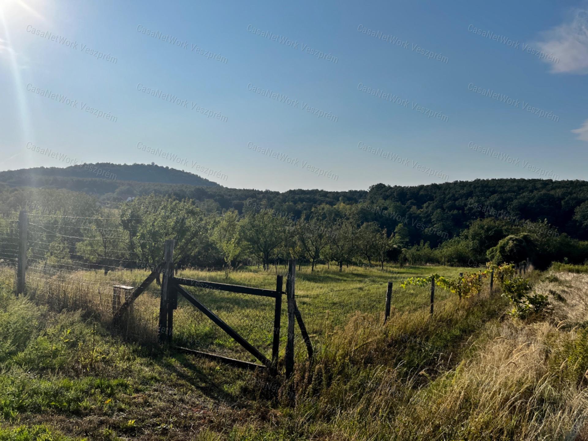 Tájpanorámás gyümölcsös - eladó ZÁRTKERT MENCSHELYEN