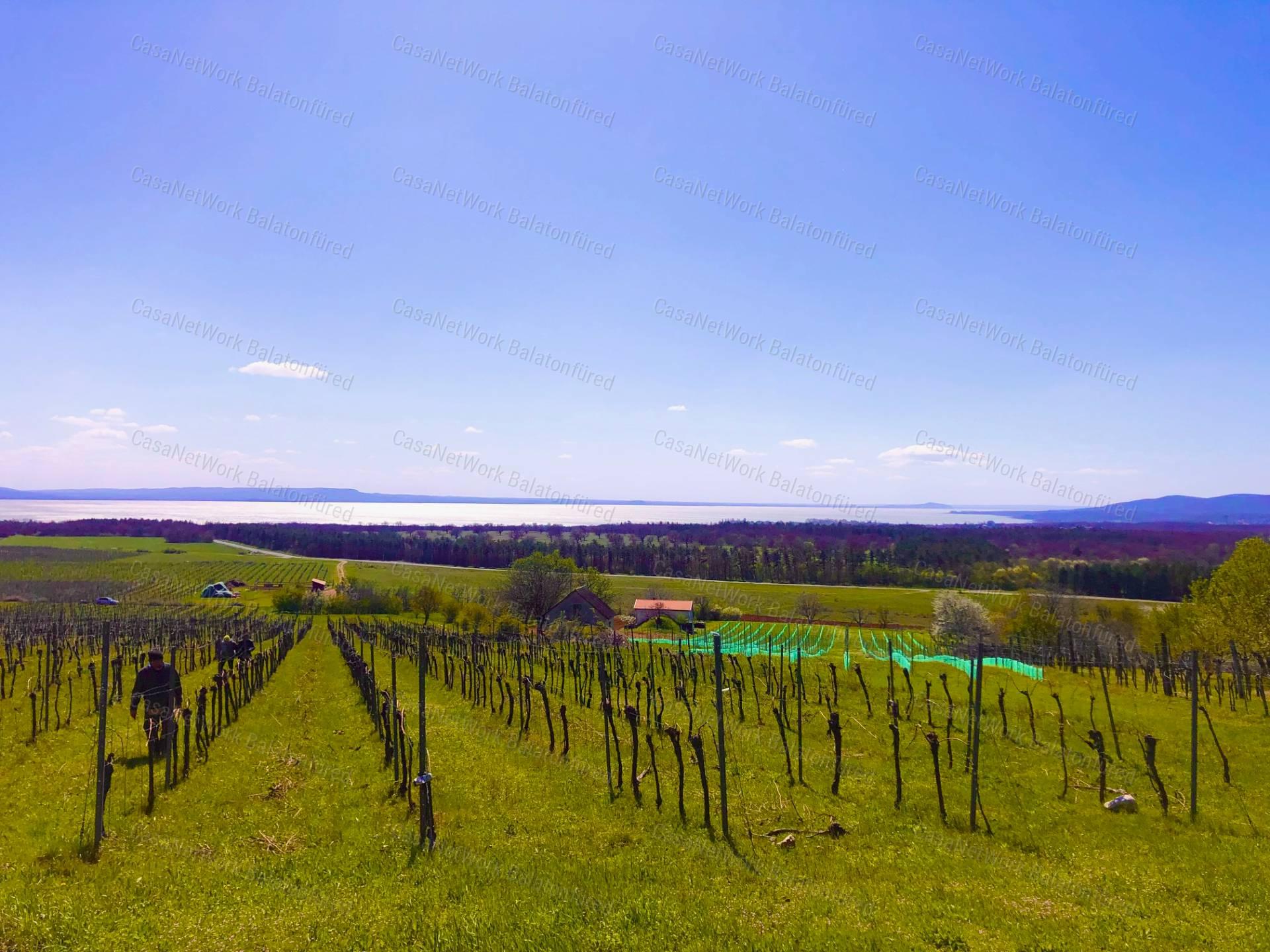 Csodálatos kilátást keresel a Balatonra? MEGTALÁLTAD !!