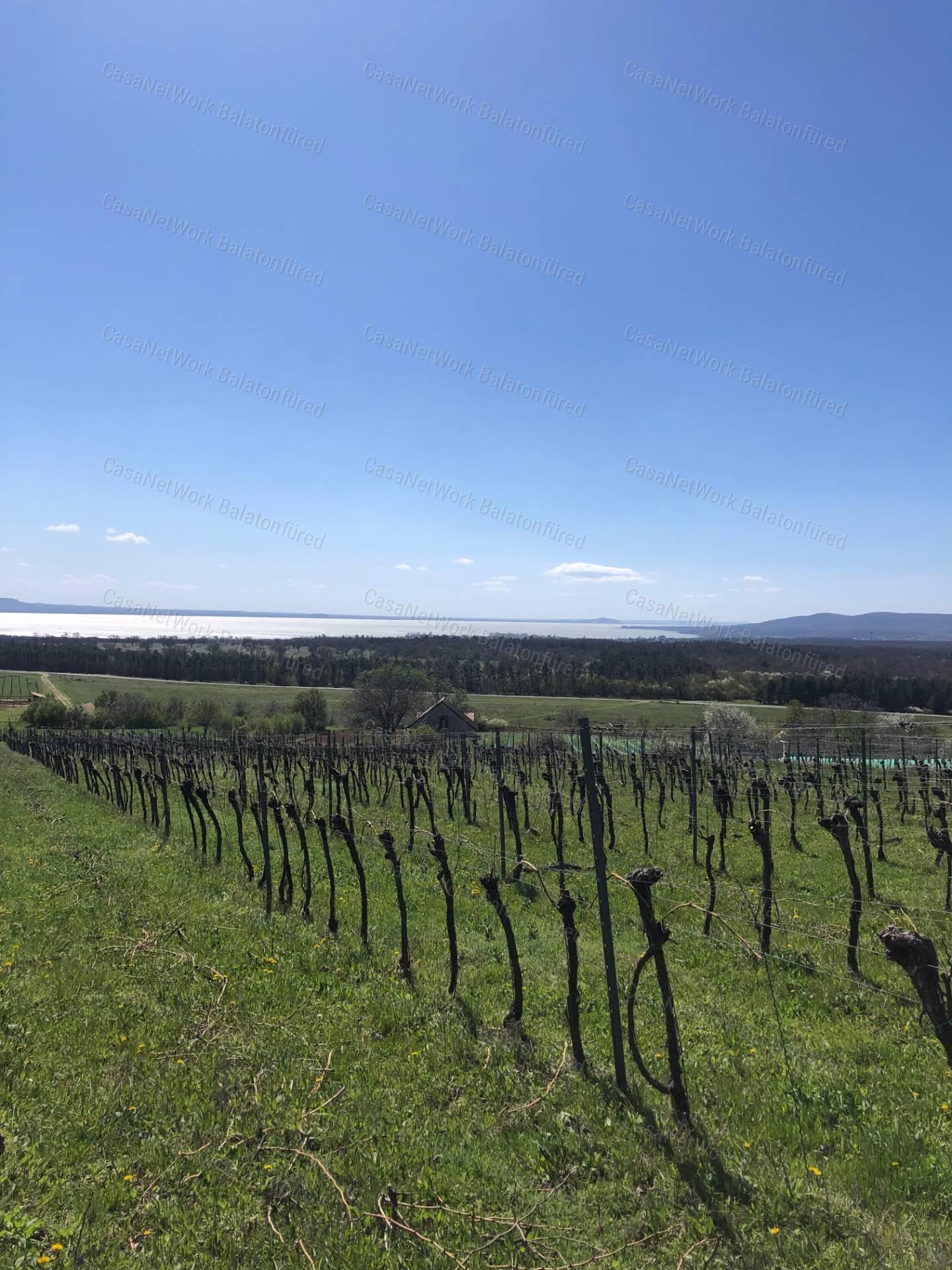 Csodálatos kilátást keresel a Balatonra? MEGTALÁLTAD !!