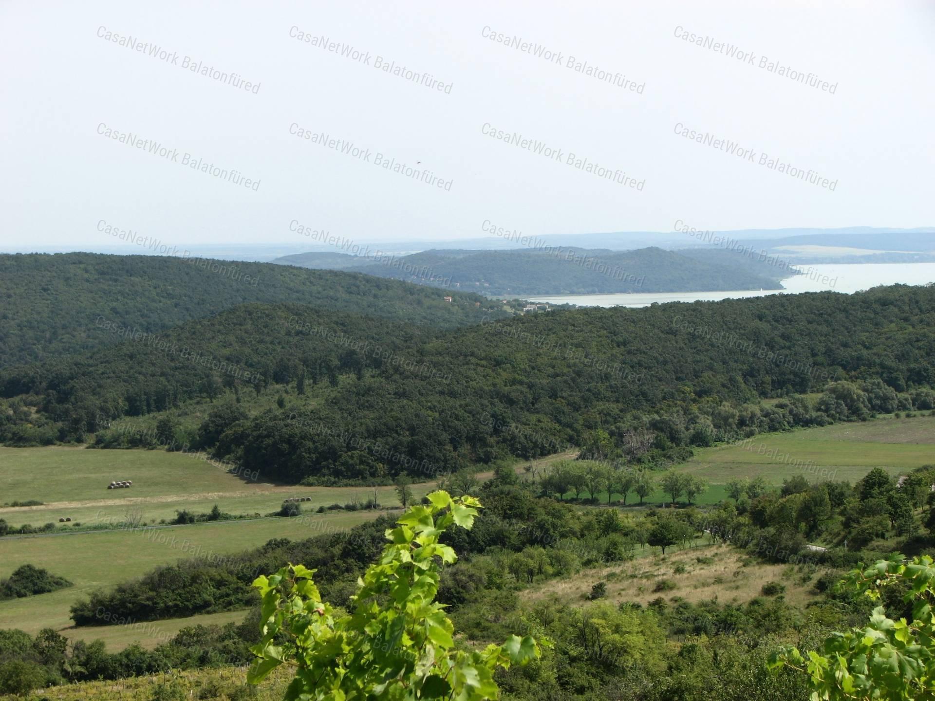 Balaton Pazar Látványa -Erdővel körül ölelt terület...