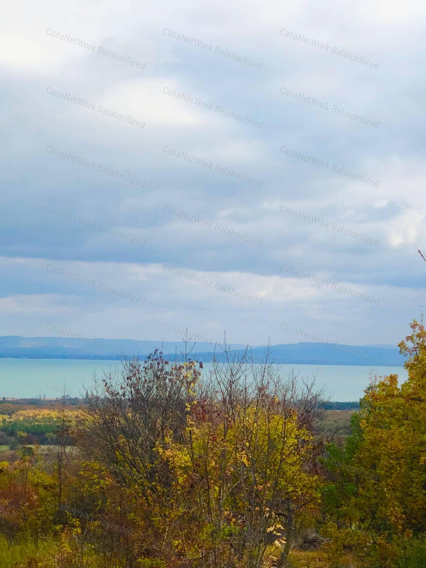 Balaton Pazar Látványa -Erdővel körül ölelt terület...