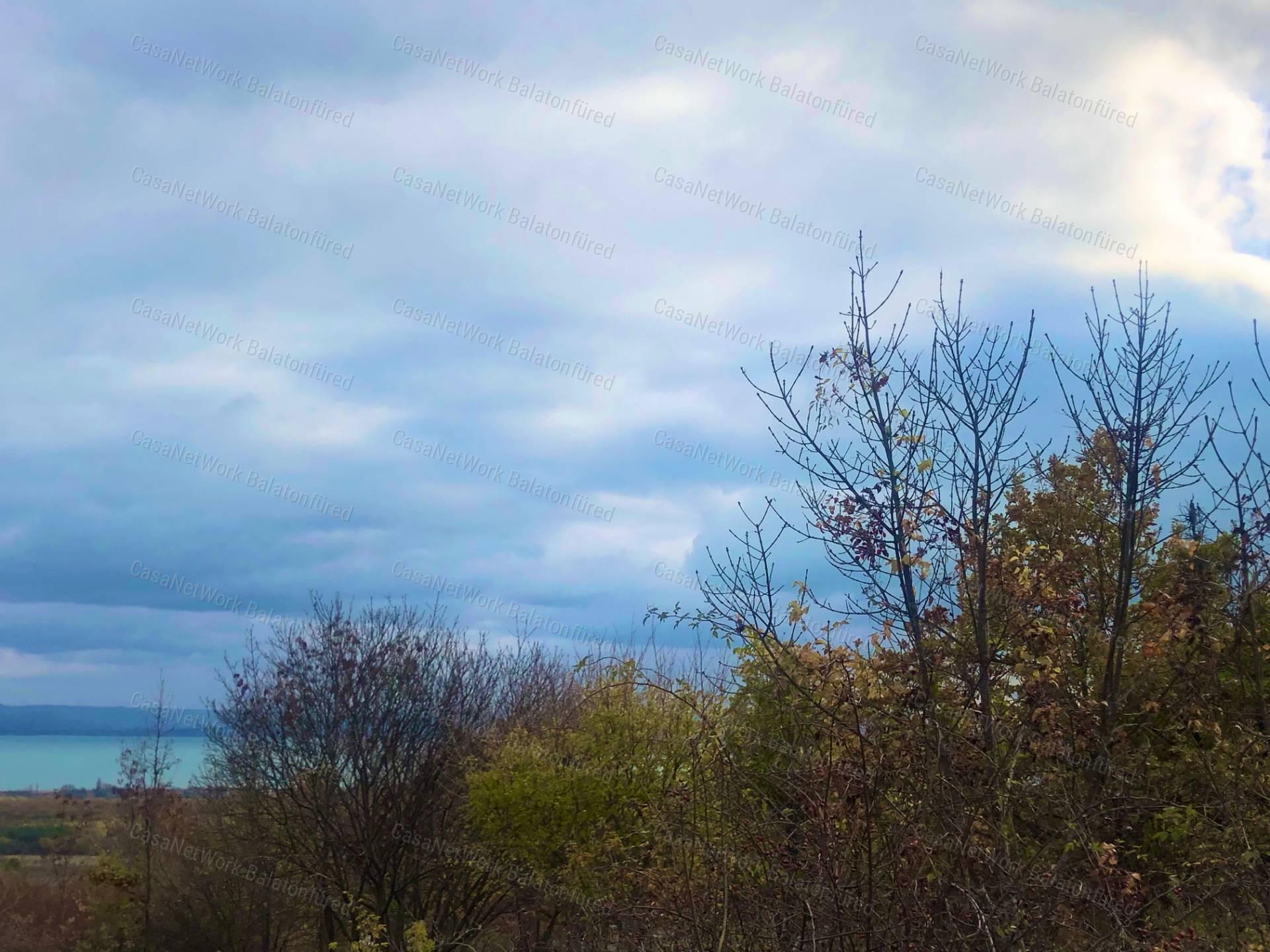 Balaton Pazar Látványa -Erdővel körül ölelt terület...