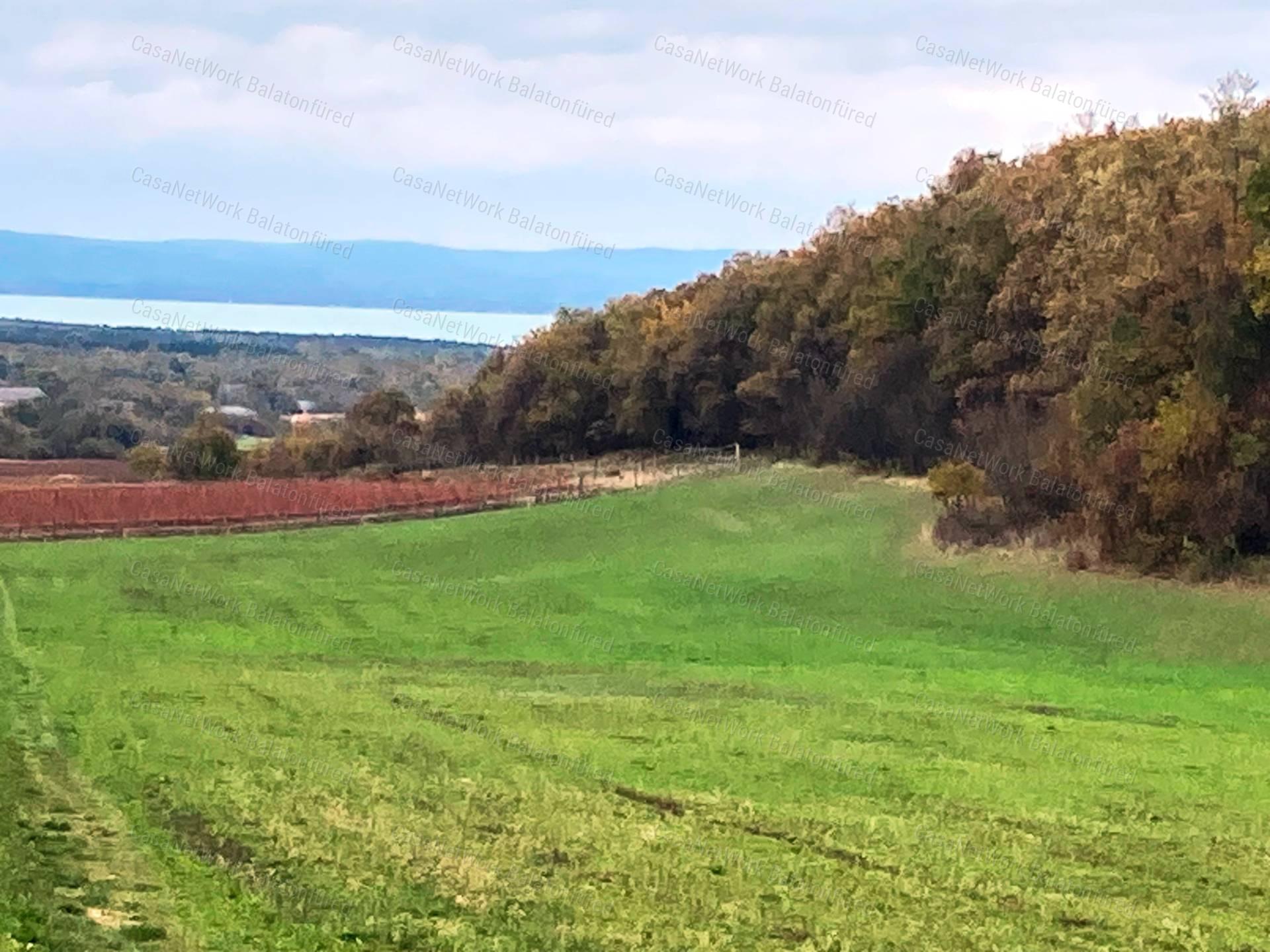 Szuper panoráma Dörgicsén