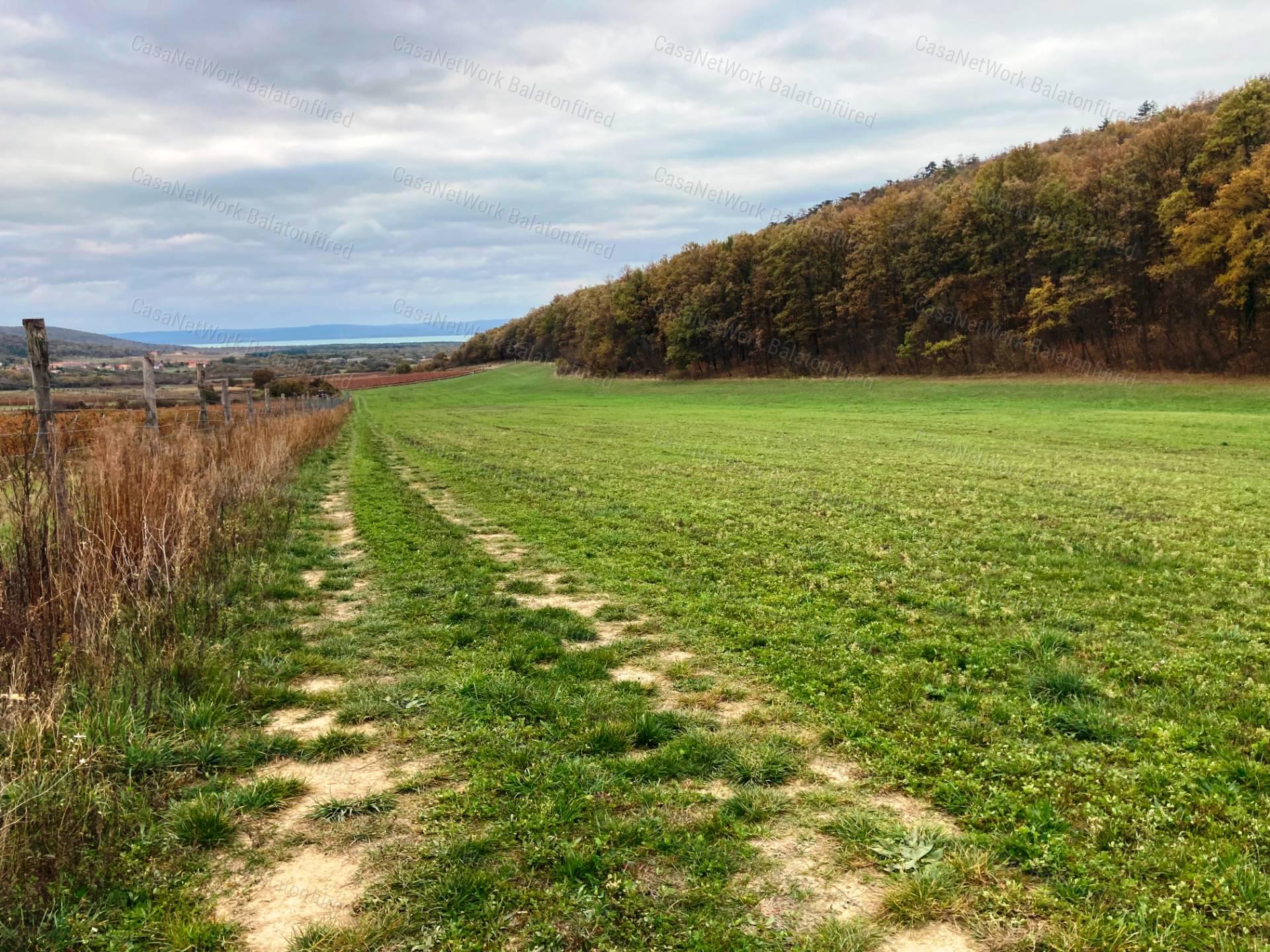 Szuper panoráma Dörgicsén
