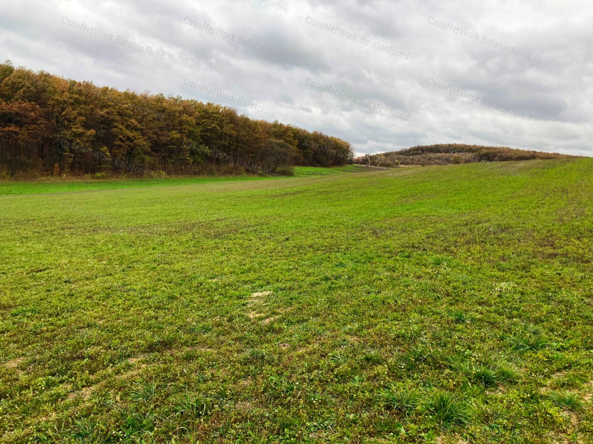 Szuper panoráma Dörgicsén