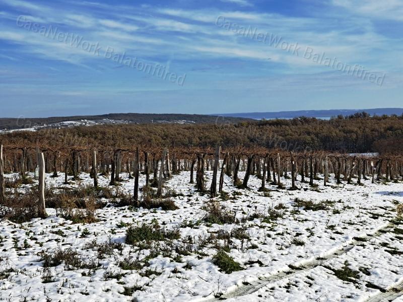 Erdő közelében -eladó MEZŐGAZDASÁGI TERÜLET BALATONCSICSÓN
