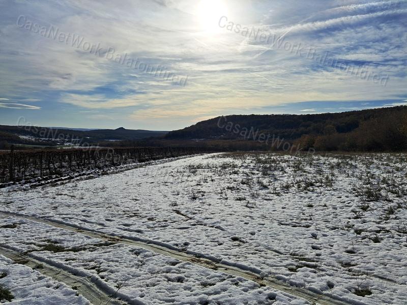Erdő közelében -eladó MEZŐGAZDASÁGI TERÜLET BALATONCSICSÓN