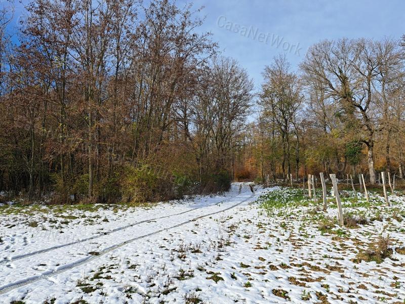 Erdő közelében -eladó MEZŐGAZDASÁGI TERÜLET BALATONCSICSÓN