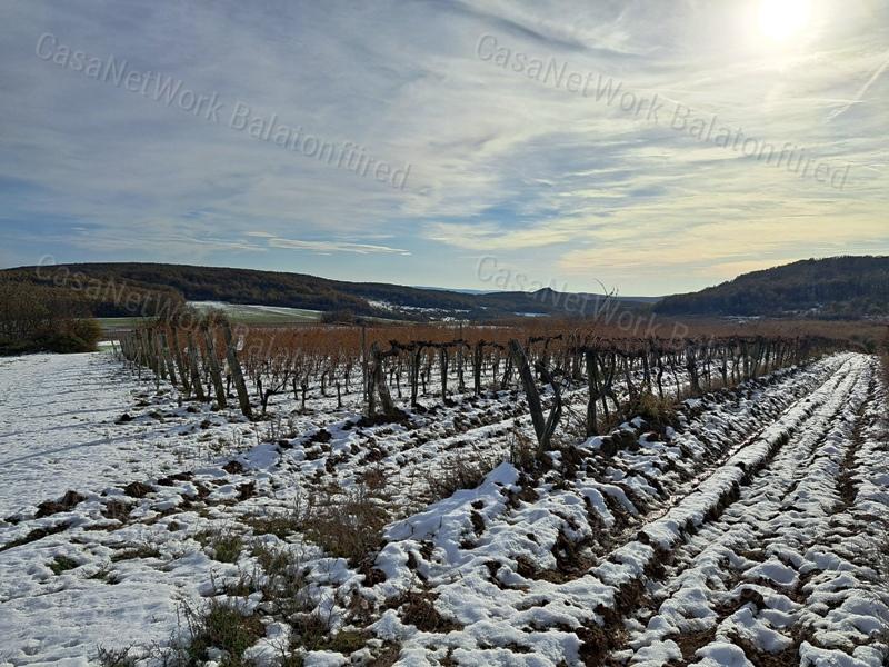 Erdő közelében -eladó MEZŐGAZDASÁGI TERÜLET BALATONCSICSÓN
