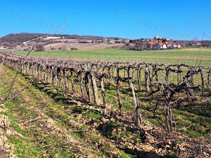 Település szélén -eladó MEZŐGAZDASÁGI TERÜLET BALATONCSICSÓN
