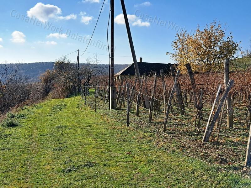 Örökpanorámás, építhető-eladó MEZŐGAZDASÁGI TERÜLET PÉCSELYEN