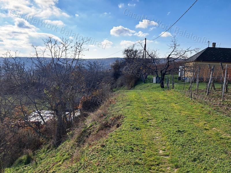 Örökpanorámás, építhető-eladó MEZŐGAZDASÁGI TERÜLET PÉCSELYEN