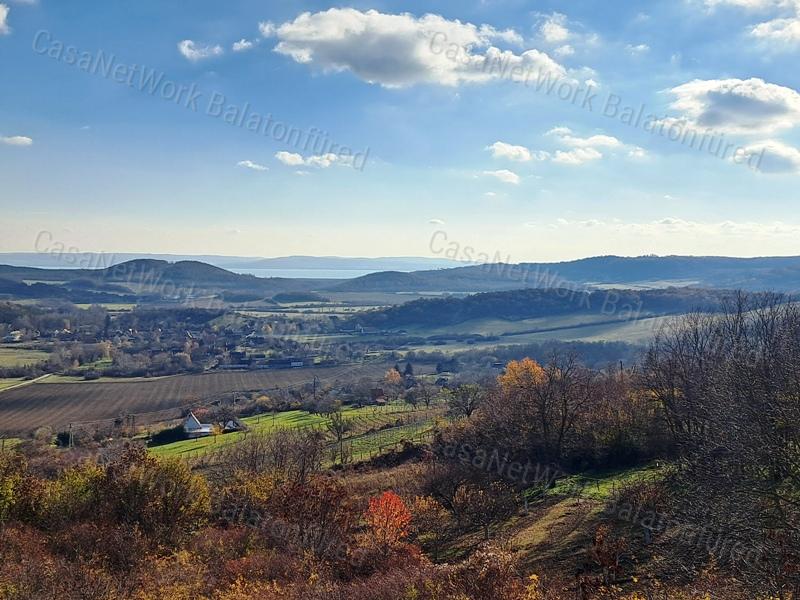 Örökpanorámás, építhető-eladó MEZŐGAZDASÁGI TERÜLET PÉCSELYEN