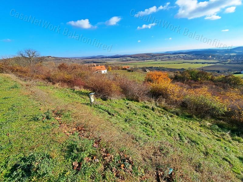 Örökpanorámás, építhető-eladó MEZŐGAZDASÁGI TERÜLET PÉCSELYEN