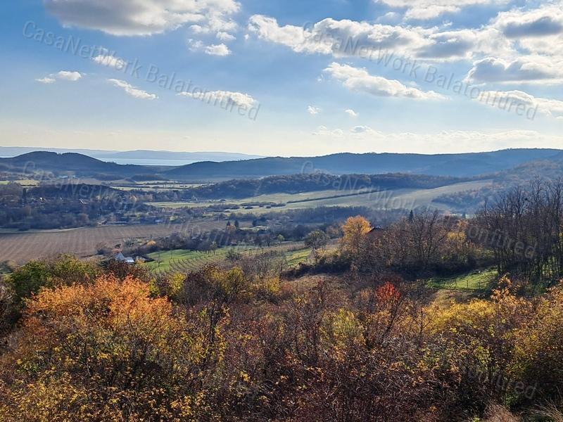 Örökpanorámás, építhető-eladó MEZŐGAZDASÁGI TERÜLET PÉCSELYEN