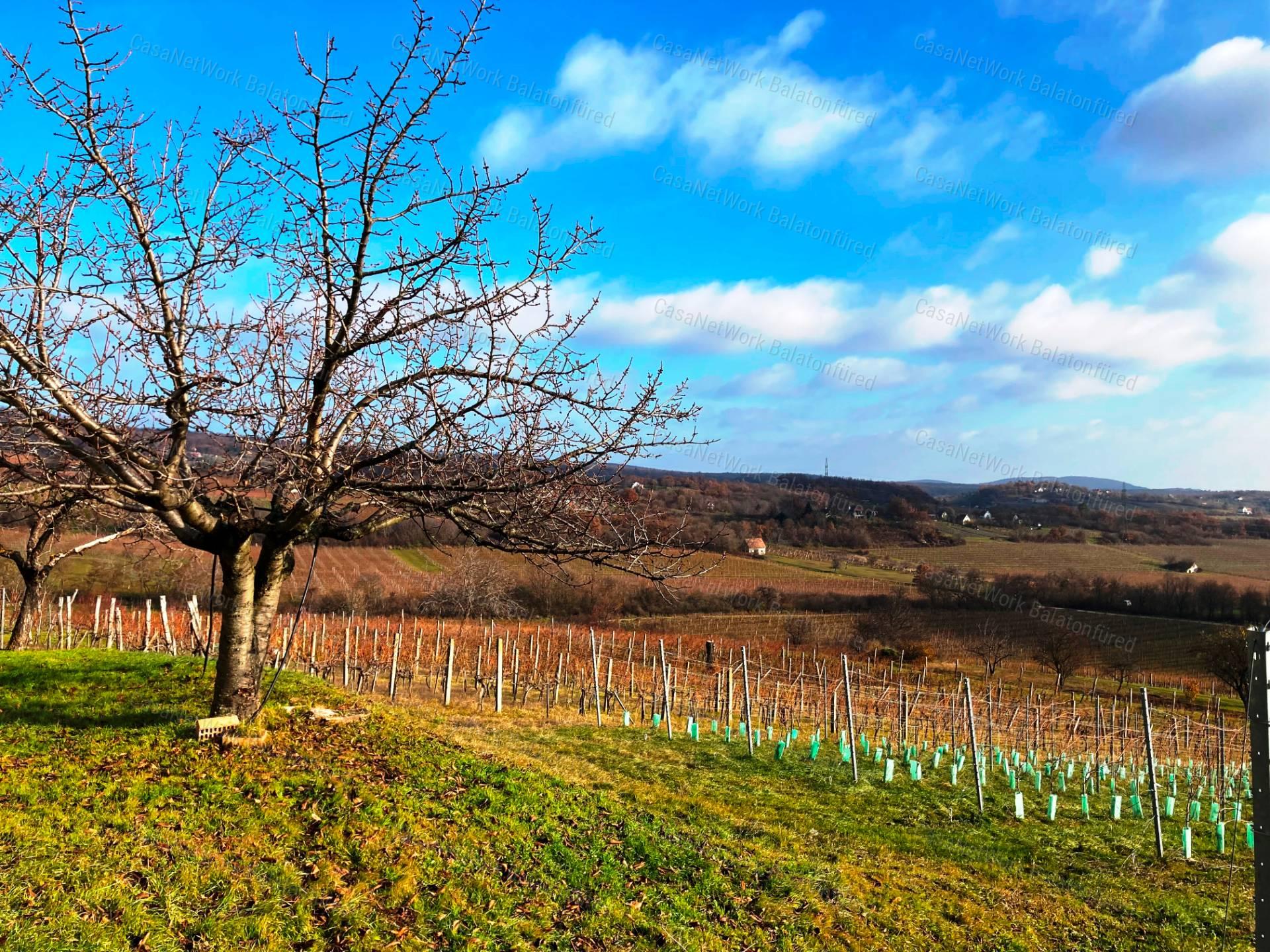 Tökéletes panorámás bővíthető nyaraló Balatonszőlősön