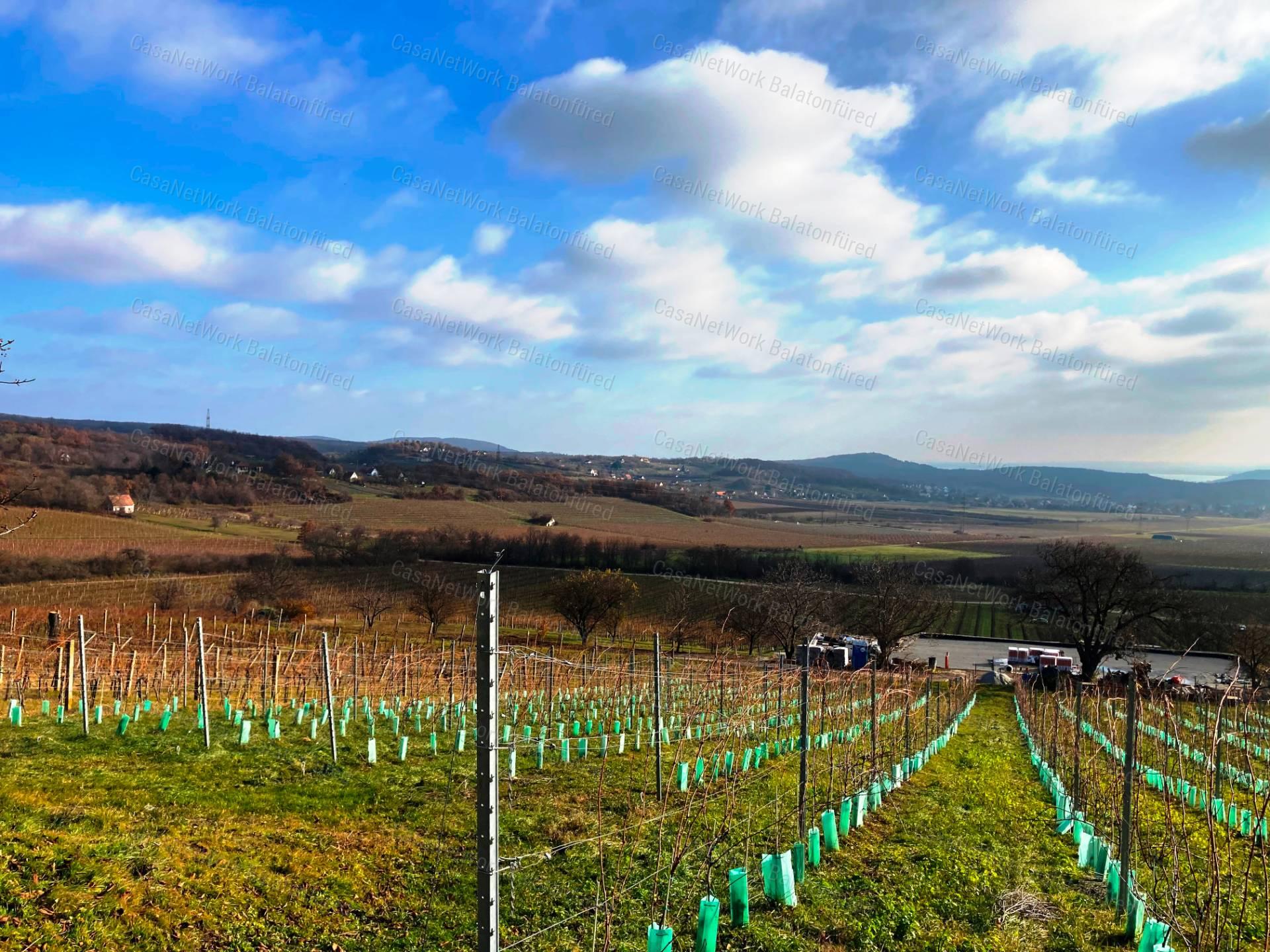 Tökéletes panorámás bővíthető nyaraló Balatonszőlősön
