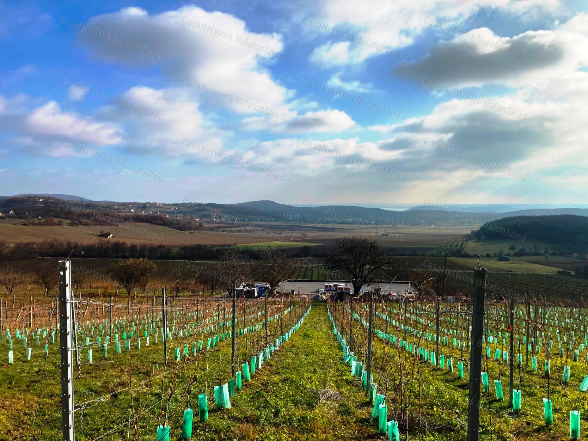 Tökéletes panorámás bővíthető nyaraló Balatonszőlősön