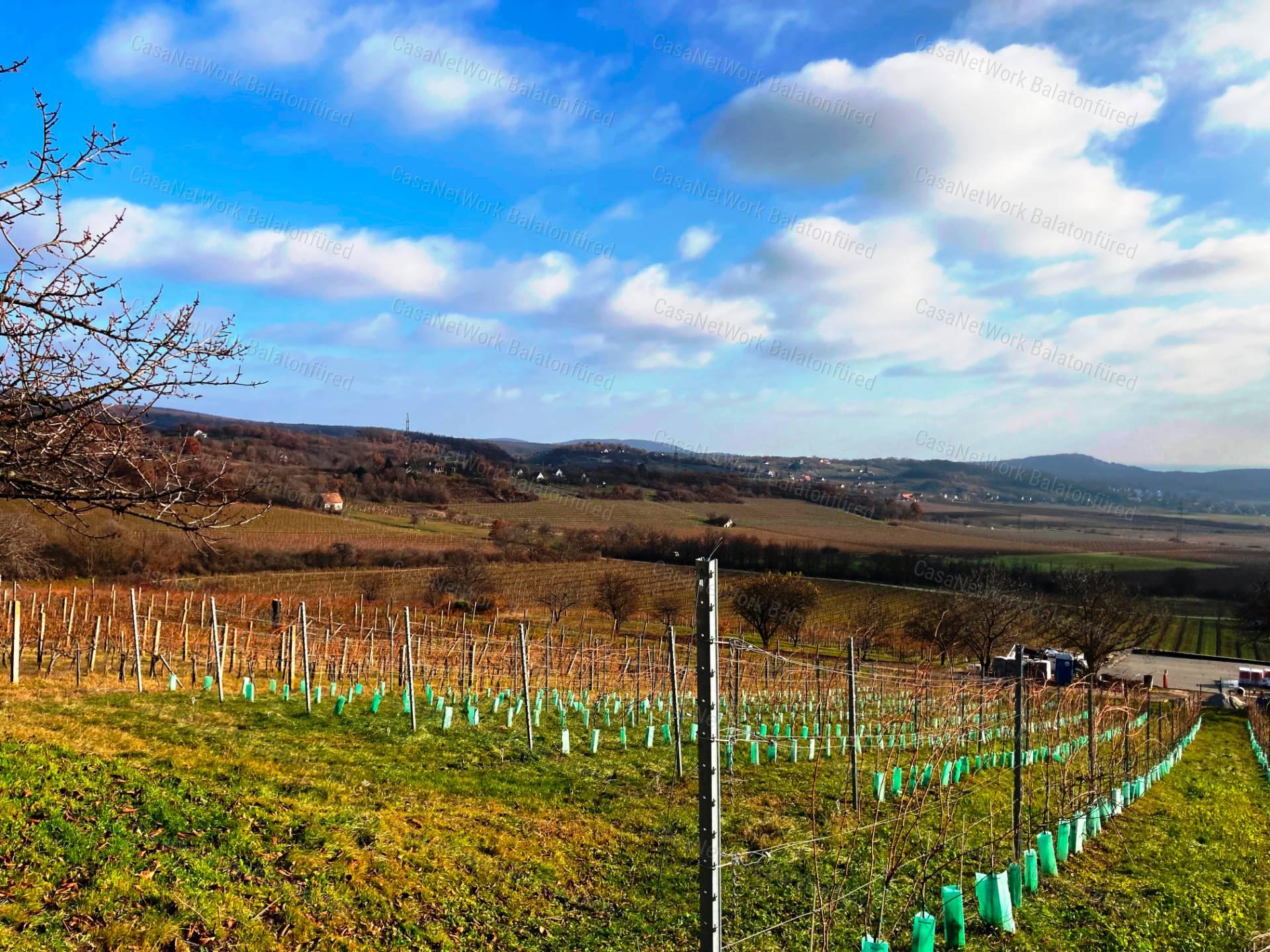 Tökéletes panorámás bővíthető nyaraló Balatonszőlősön