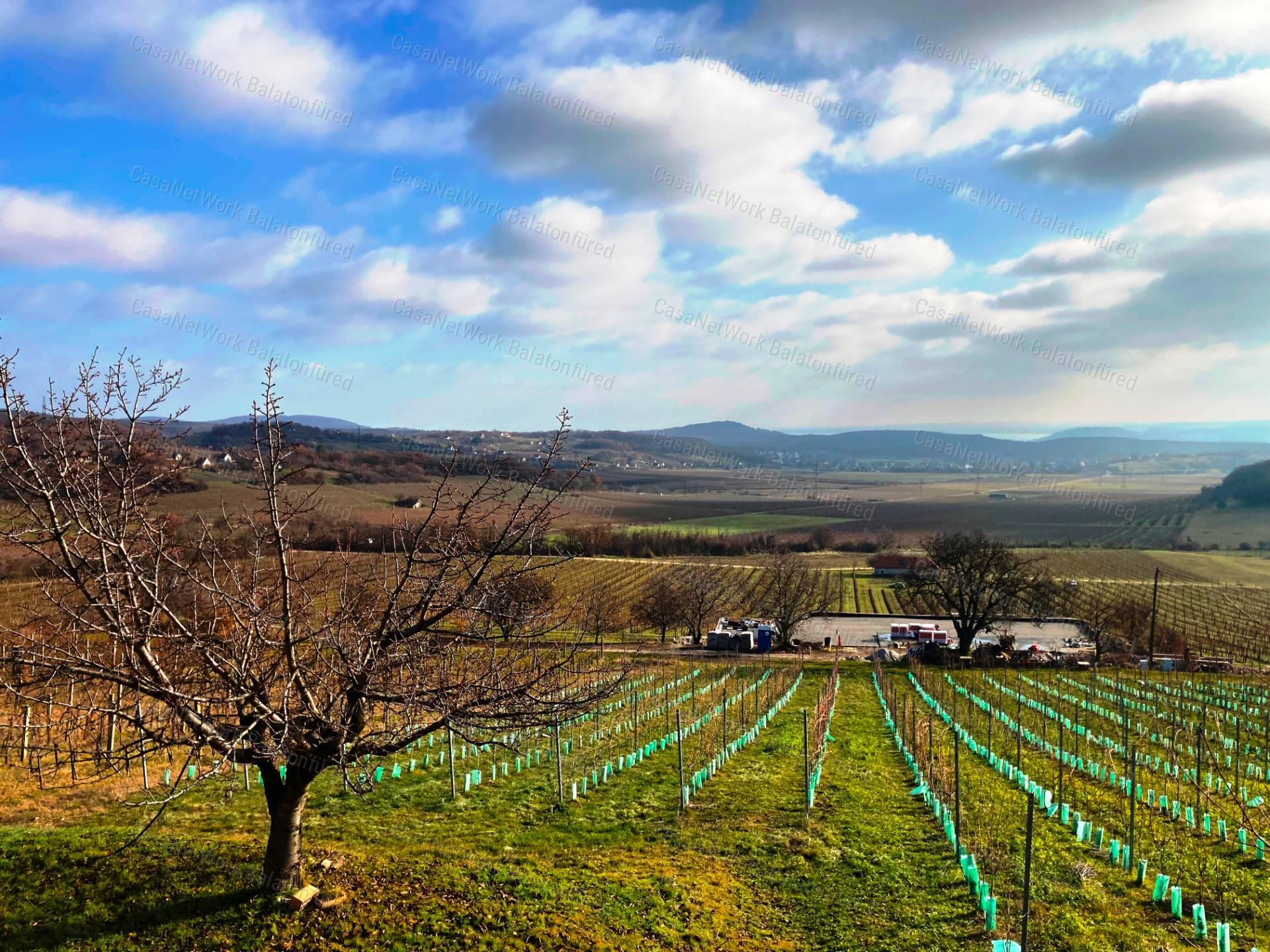Tökéletes panorámás bővíthető nyaraló Balatonszőlősön