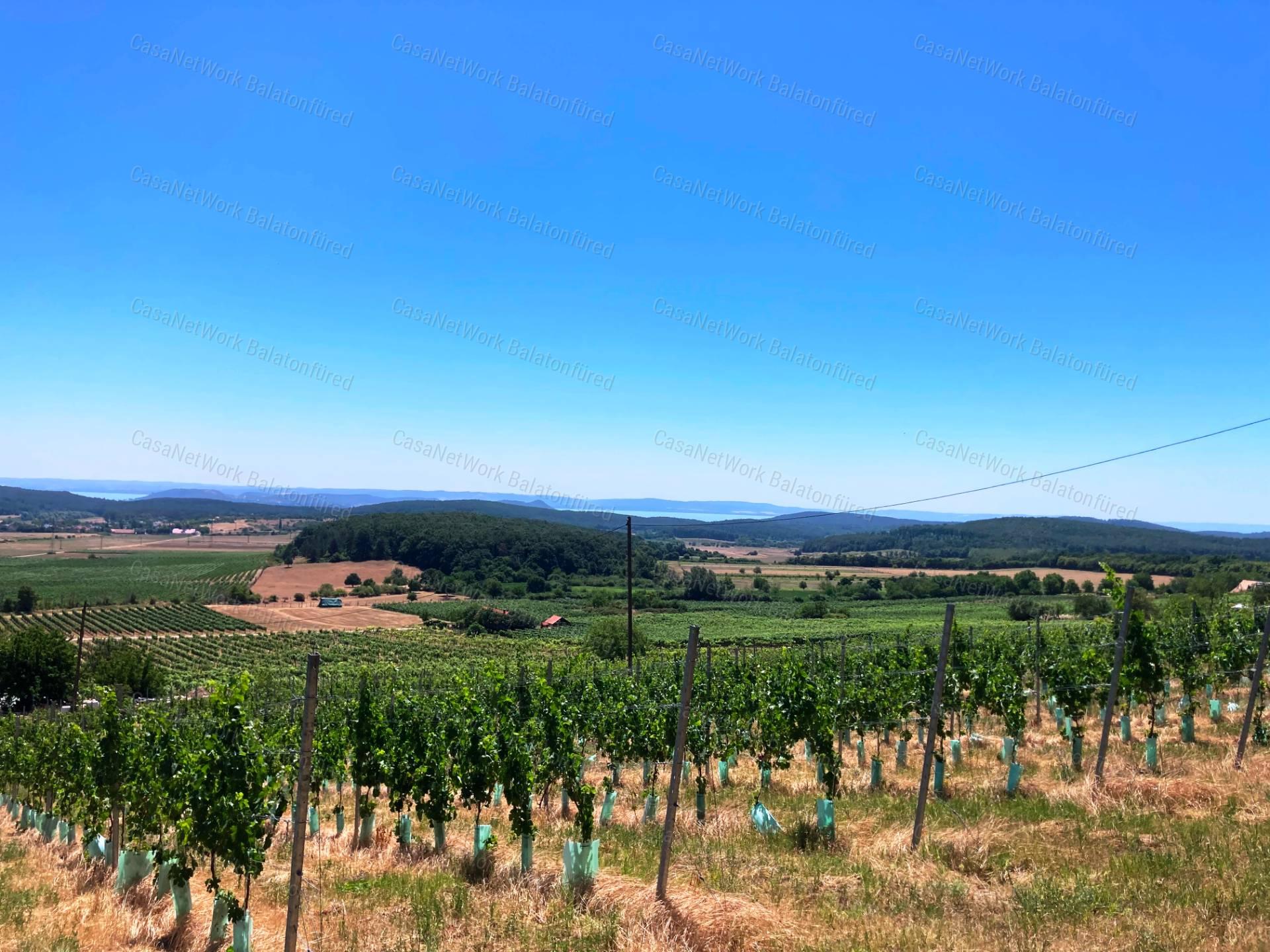 Tökéletes panorámás bővíthető nyaraló Balatonszőlősön