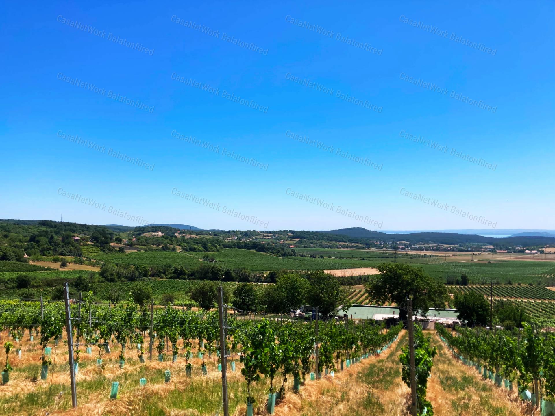 Tökéletes panorámás bővíthető nyaraló Balatonszőlősön