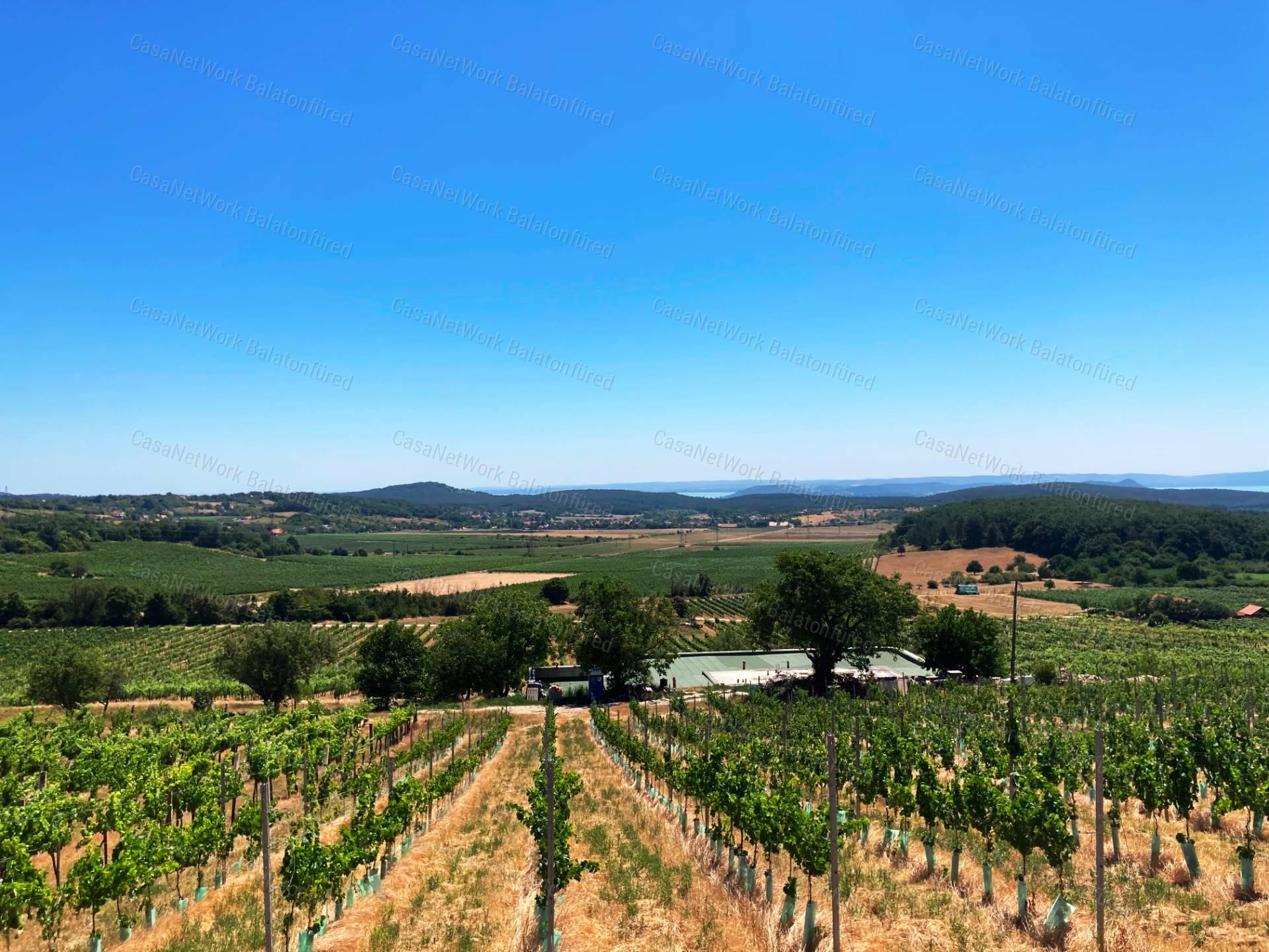 Tökéletes panorámás bővíthető nyaraló Balatonszőlősön